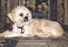 Barkley