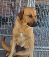 Lilly