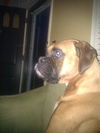 George