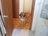 Gordy