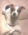 Little Girl