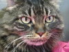Missie