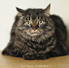 Missie