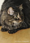 Missie