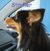 Stryker