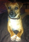 Truman