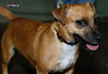 Truman