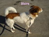 Blair