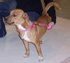 Margo- Foster Me!