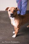Margo- Foster Me!
