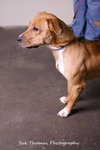 Margo- Foster Me!