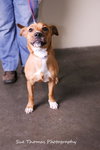 Margo- Foster Me!