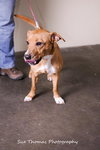 Margo- Foster Me!