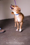 Margo- Foster Me!