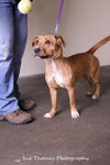 Margo- Foster Me!