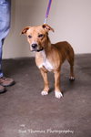 Margo- Foster Me!