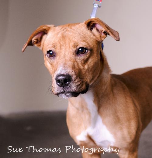 Margo- Foster Me!