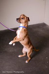 Margo- Foster Me!