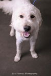 Bailey