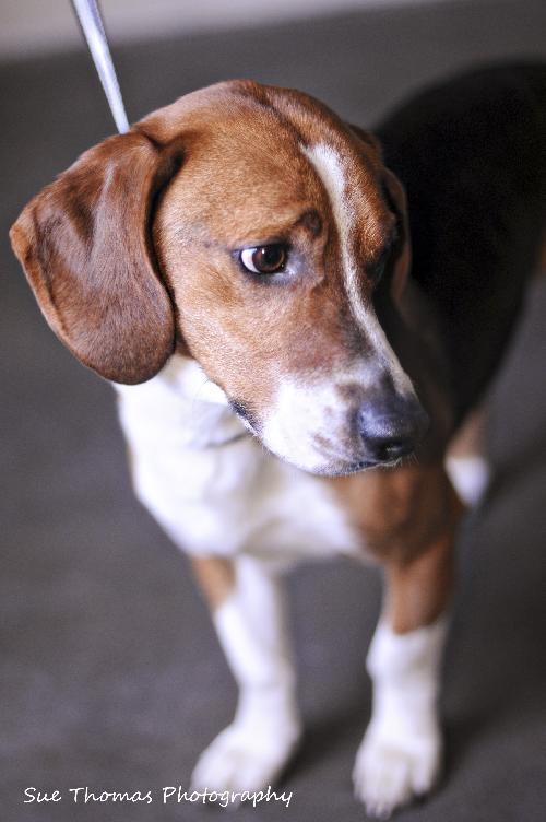 Benson