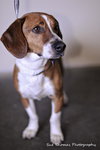 Benson