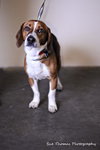 Benson