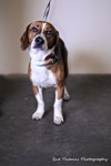 Benson