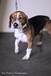 Benson
