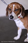 Benson