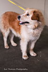 Chauncie