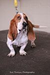 Stroker