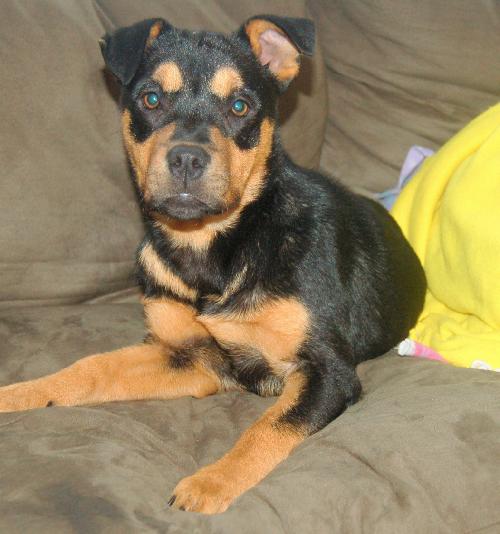 Roxanne