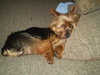 Mickee