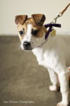 Trudy