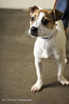 Trudy