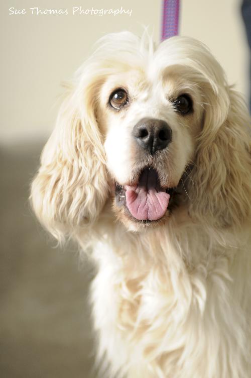 Miss Maggie