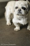 Charlie