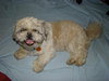 Charlie