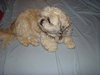 Charlie