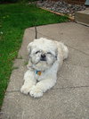 Charlie