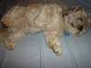 Charlie