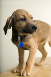Roxy