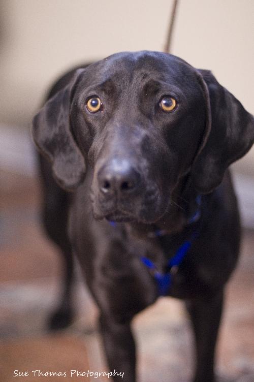 Bonnie