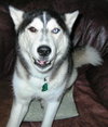 Sitka