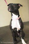Cameo aka Zoey