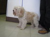 Marley