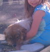 Clarise