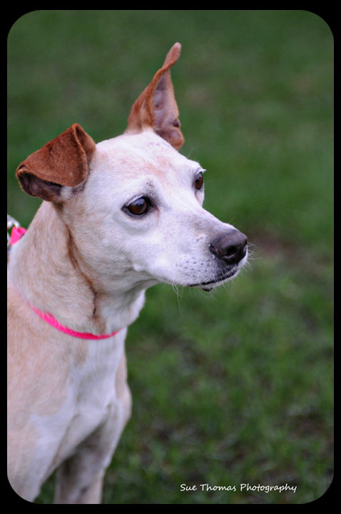 Mollie