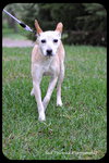 Mollie