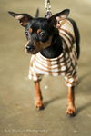 Wilma